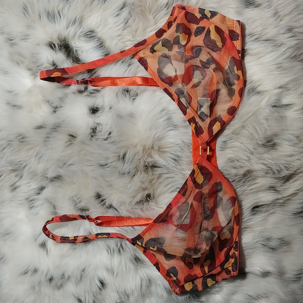 EXPRESS Sheer Mesh Bra